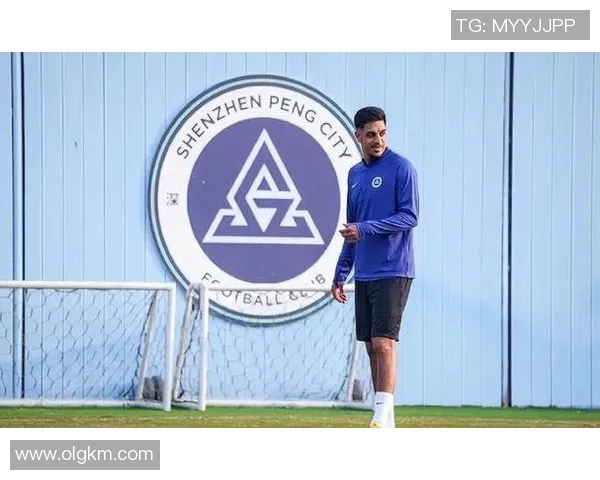 中超冬窗引援全面盘点新援表现与球队未来展望